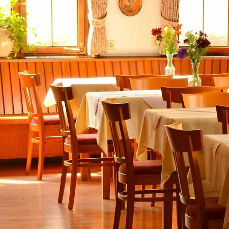 Adler Hotel