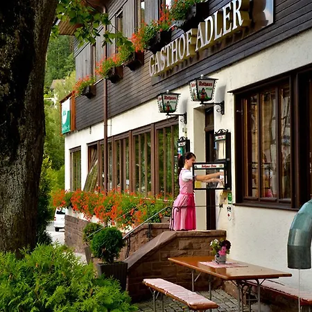 阿德勒客栈酒店 酒店